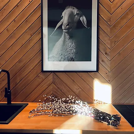 Sleep & Sheep * Koscielisko